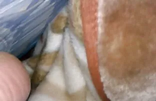 Adolescent en bottes baisée film x couple amateur par une bite super épaisse