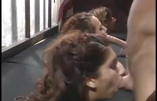 Une video sexe amteur bonne pipe d'une petite coquine